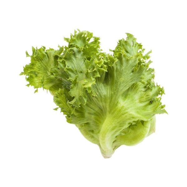 FRISEE SALAT lahtine