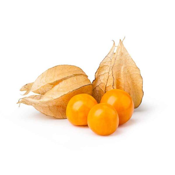 FÜÜSALIS 100Gr (KOLUMBIA)