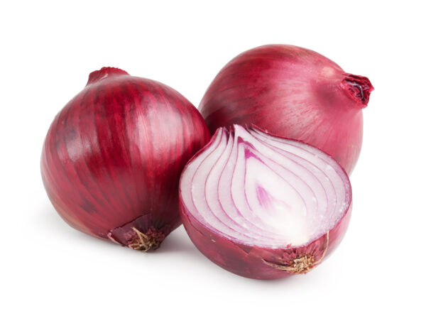 MUGULSIBUL PUNANE (HOLLAND)