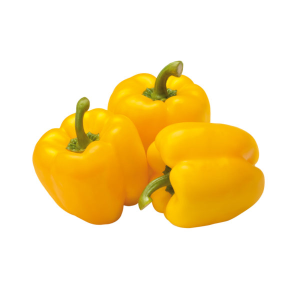 PAPRIKA KOLLANE (POOLA)