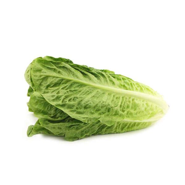 ROOMA SALAT (HISPAANIA)