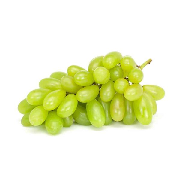 VIINAMARI HELE  ITAALIA