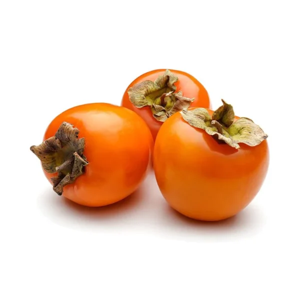 HURMAA (HISPAANIA)