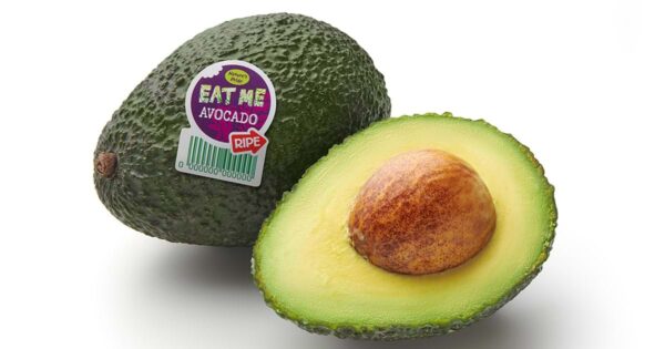 AVOKAADO "READY TO EAT"