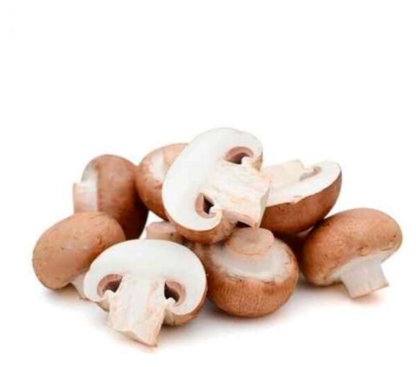 SHAMPINJONID PRUUN