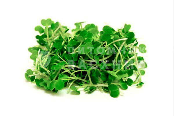 MICRO KRESS VESIKRESS MINI 40G