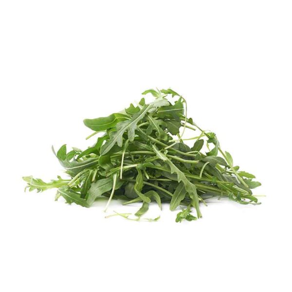 RUCOLA METSIK 100GR