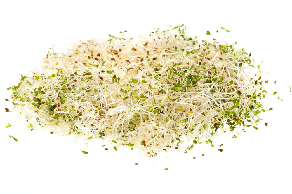 KÜÜSLAUGU IDANDID 50G (EESTI)